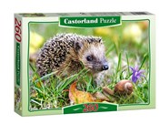 polish book : 260x PUZZL... - CASTORLAND