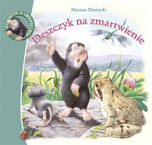 Obrazek Deszczyk na zmartwienie