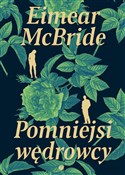 Polska książka : Pomniejsi ... - Eimear McBride