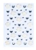 Dżety samo... -  Książka z wysyłką do UK