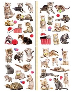 Obrazek Naklejki 3D koty MIX