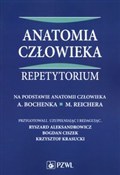 Polska książka : Anatomia c...