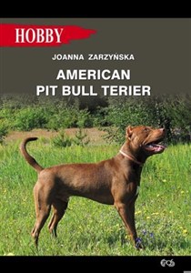 Obrazek American pit bull terier
