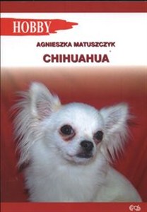 Obrazek Chihuahua