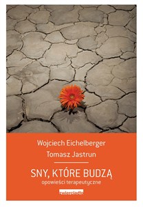 Picture of Sny, które budzą Opowieści psychoterapeutyczne