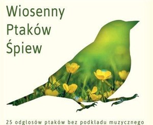 Obrazek Wiosenny ptaków śpiew CD