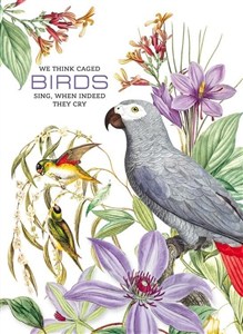 Obrazek Notatnik ozdobny 165x238/80K kratka Papugi