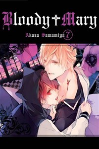 Picture of Bloody Mary #7