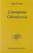Książka : Literatura... - Jerzy Ziomek