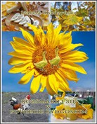 Rozsmakuj ... - Izabela Chudzyńska -  books in polish 