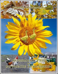 Picture of Rozsmakuj się w powiecie bydgoskim