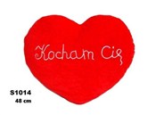 polish book : Poduszka S...