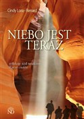 polish book : Niebo jest... - Cindy Lory-Renard