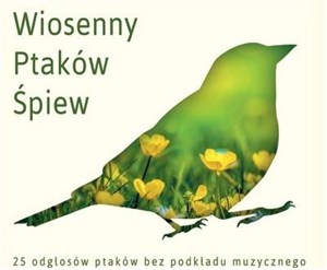 Obrazek Ptasi Poranek w Lesie CD