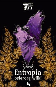 Obrazek Entropia