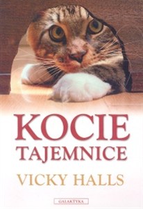 Obrazek Kocie tajemnice