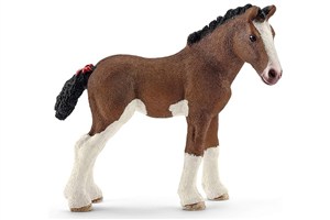 Obrazek Źrebię rasy Clydesdale SLH13810