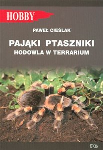 Obrazek Pająki ptaszniki hodowla w terrarium