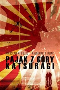 Obrazek Pająk z góry Katsuragi