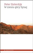 W cieniu g... - Peter Sloterdijk -  Książka z wysyłką do UK