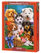 Zobacz : Puzzle 100...