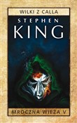 polish book : Mroczna Wi... - Stephen King