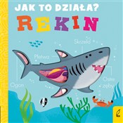 Książka : Jak to dzi... - Molly Littleboy