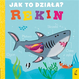 Obrazek Jak to działa Rekin