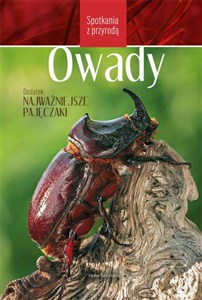 Obrazek Owady Spotkania z przyrodą