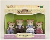 polish book : Sylvanian ...