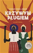 Krzywym pł... - Itamar Vieira Junior -  foreign books in polish 