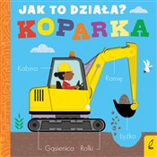 Jak to dzi... - Molly Littleboy -  books in polish 