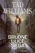 polish book : Brudne uli... - Tad Williams
