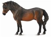 Kucyk Bayd... - Ksiegarnia w UK