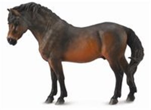 Obrazek Kucyk Baydatmoor