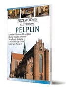 Przewodnik... - Katarzyna Szroeder Dowjat, Piotr Jaworek -  Polish Bookstore 