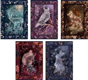 Zeszyt A5/... -  books in polish 