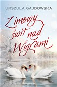 Zimowy świ... - Urszula Gajdowska -  books from Poland