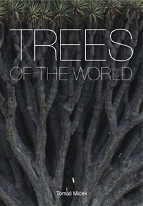 Obrazek Trees of the World