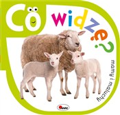 Co widzę M... - Piotr Kozera -  foreign books in polish 