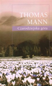 Picture of Czarodziejska góra