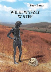 Picture of Wilki wyszły w step
