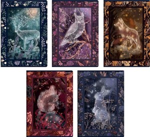 Obrazek Zeszyt A5/60K kratka Fairytale (10szt) TOP2000