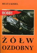 Żółw ozdob... - Beata Kisiel -  foreign books in polish 