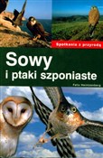 Sowy i pta... - Heintzenberg Felix - Ksiegarnia w UK