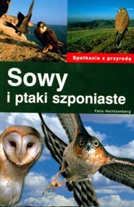 Obrazek Sowy i ptaki szponiaste