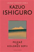Pejzaż w k... - Kazuo Ishiguro -  books in polish 