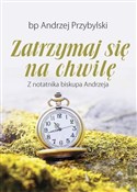 polish book : Zatrzymaj ... - Andrzej Przybylski