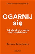 Ogarnij si... - Damon Zahariades -  books from Poland