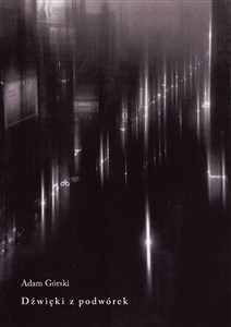 Obrazek Dźwięki z podwórek